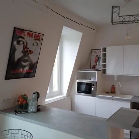 Lejlighed L'appt Du Vieux Qui Ne Voulait Pas Feter Son Anniversaire Sedan