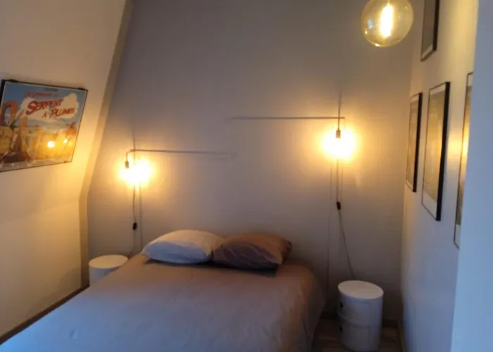 L'appt Du Vieux Qui Ne Voulait Pas Feter Son Anniversaire Apartment Sedan