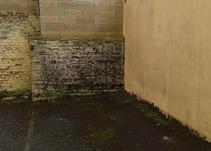 L'appt Du Vieux Qui Ne Voulait Pas Feter Son Anniversaire Apartment Sedan